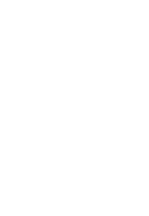 StrongBac05 Diagram