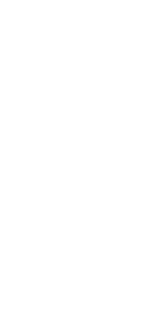 StrongBac80 Diagram